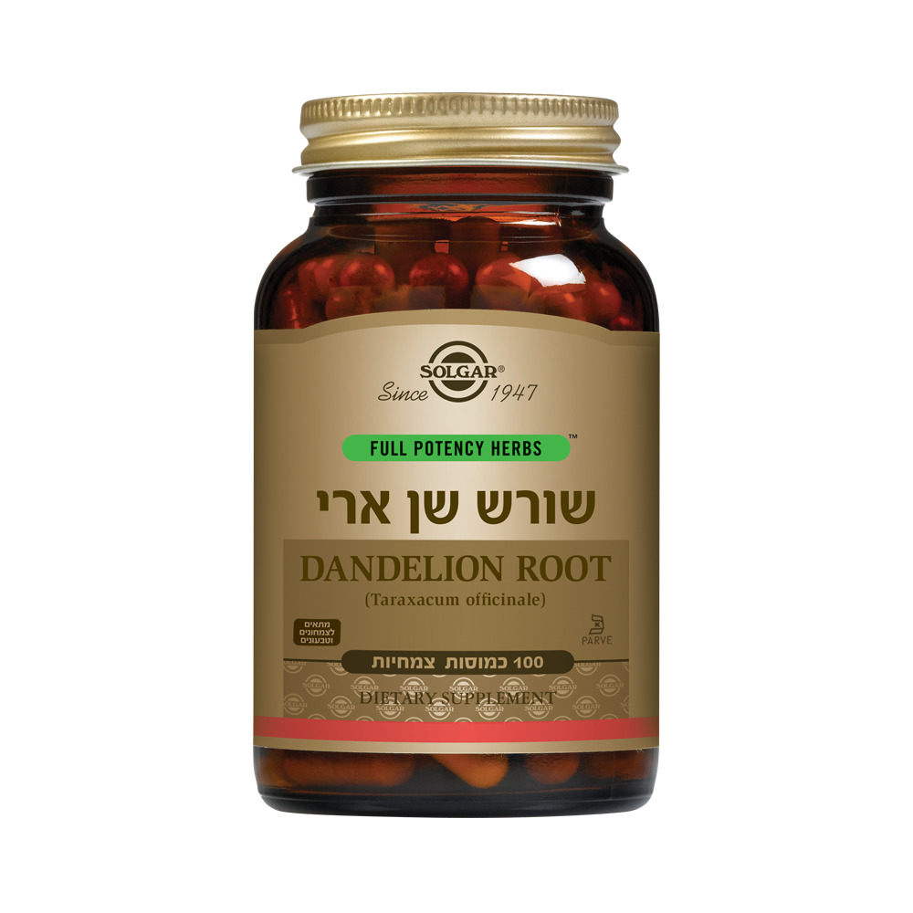 שורש שן ארי