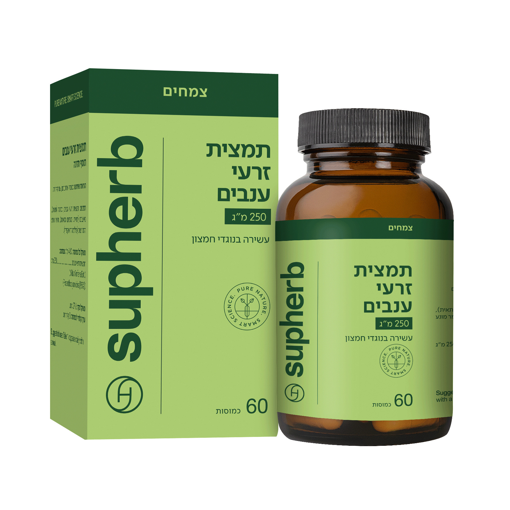 זרעי ענבים