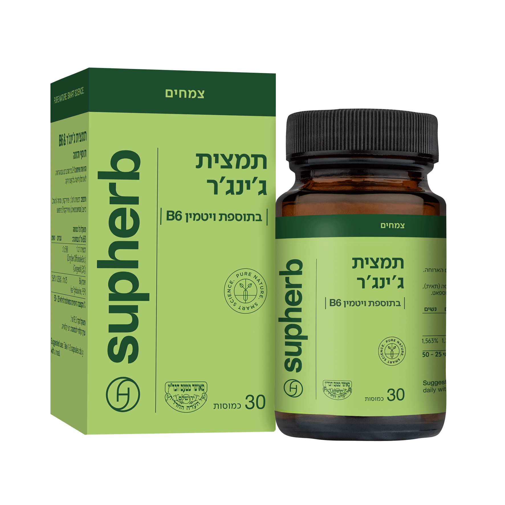 תמצית ג'ינג'ר בתוספת ויטמין B6