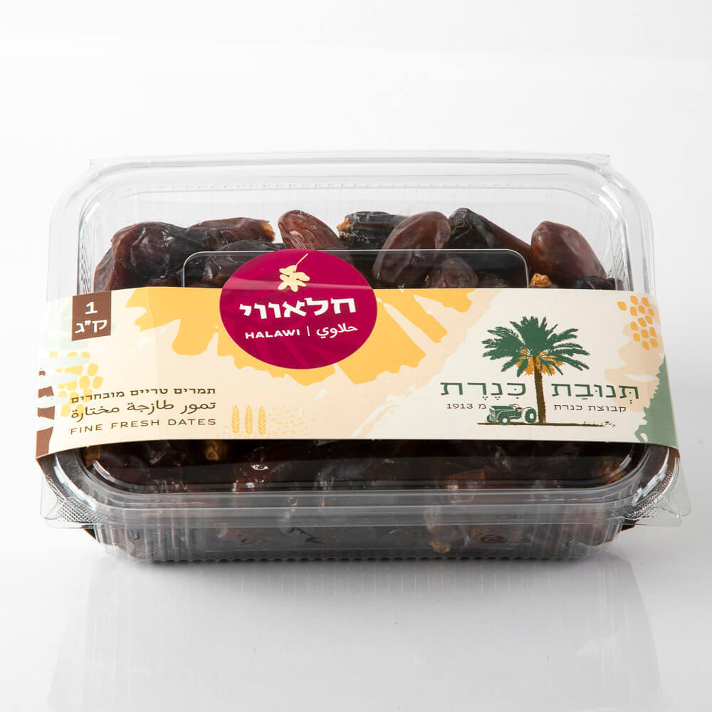 תמר חלאווי